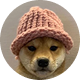 Dogwifhat