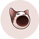 Popcat